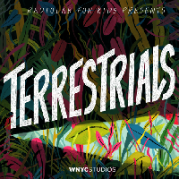 Terrestrials LIVE